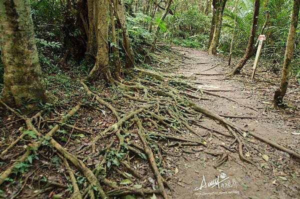  海興登山步道13.jpg