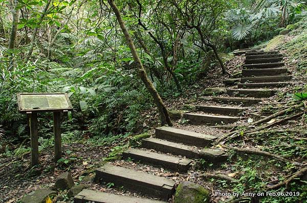  海興登山步道5.jpg