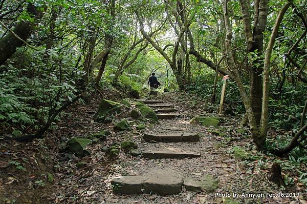  海興登山步道16.jpg