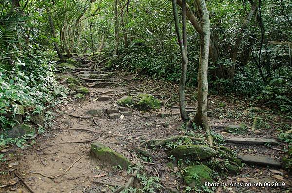  海興登山步道12.jpg