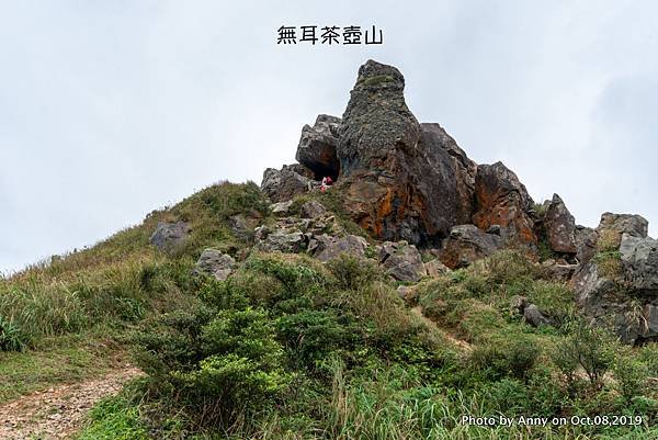 茶壺山步道 無耳茶壺山26.JPG