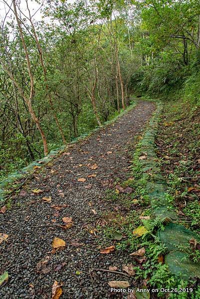 宜蘭飛龍步道7.jpg