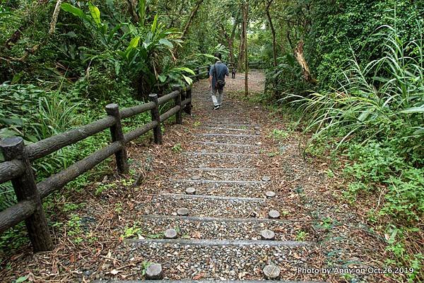 宜蘭飛龍步道10.jpg