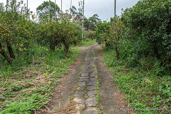 宜蘭飛龍步道16.jpg