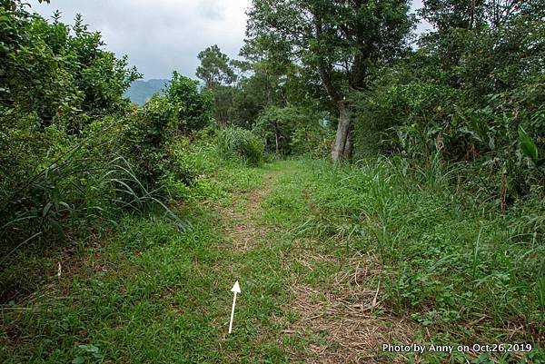 宜蘭飛龍步道18.jpg