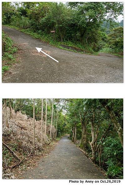 宜蘭飛龍步道2.jpg