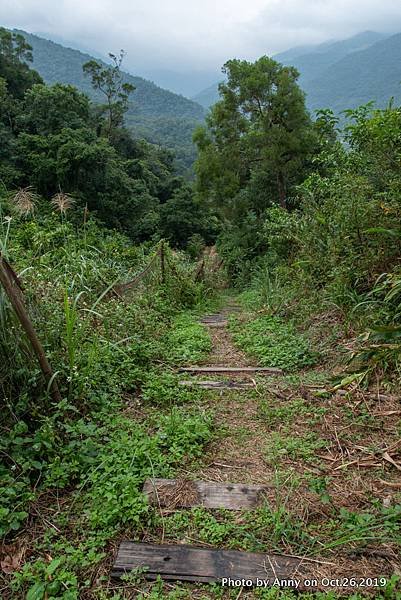 宜蘭飛龍步道20.jpg