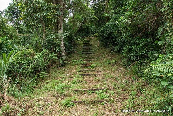 宜蘭飛龍步道24.jpg