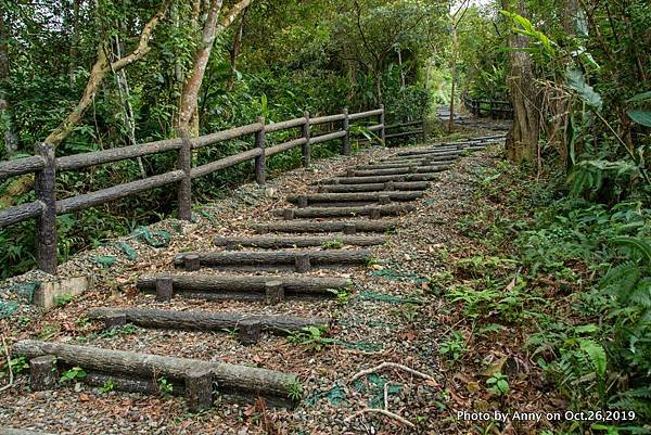 宜蘭飛龍步道35.jpg