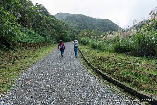 金瓜石地質公園8.jpg