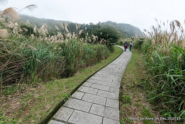 金瓜石地質公園34.jpg