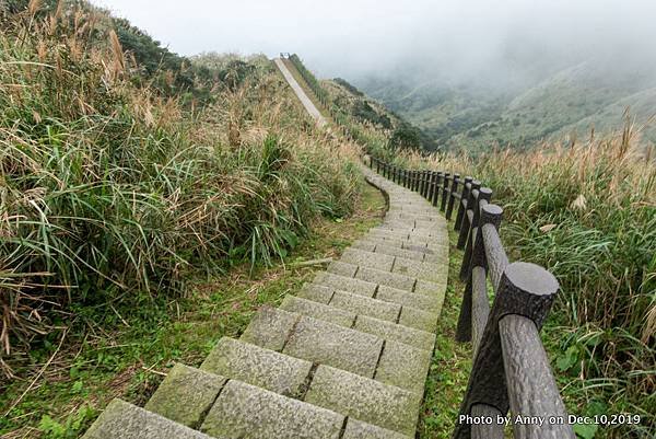 金瓜石地質公園 無敵海景步道37