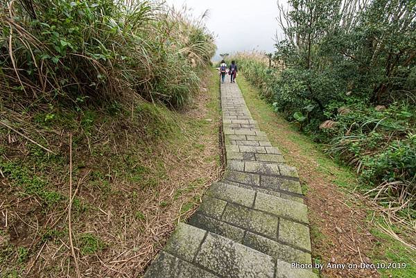 金瓜石地質公園36.jpg