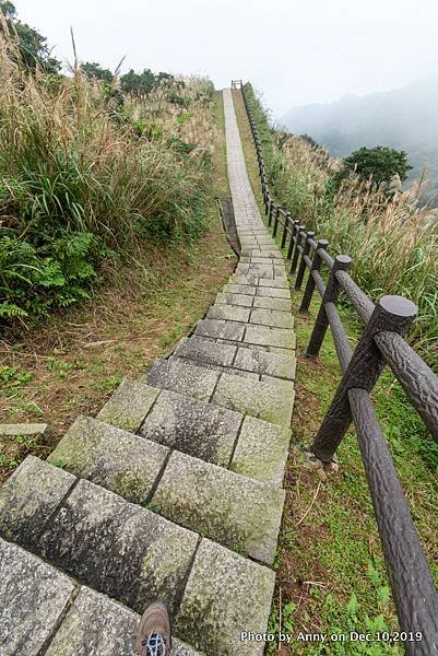 金瓜石地質公園 無敵海景步道39