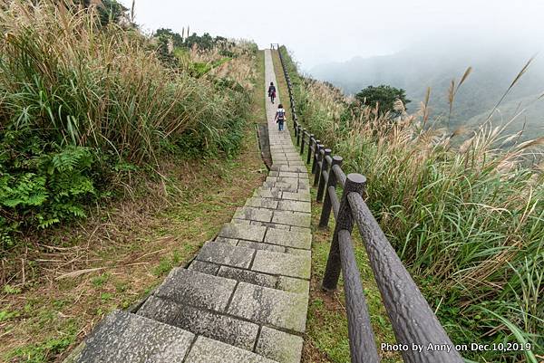 金瓜石地質公園 無敵海景步道40