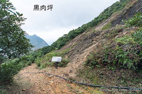 金瓜石地質公園 石尾路步道 黑肉坪43