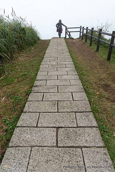 金瓜石地質公園 無敵海景步道42