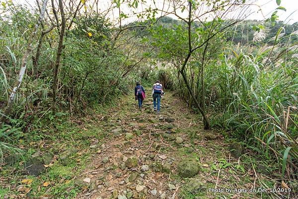 金瓜石地質公園 石尾路步道45