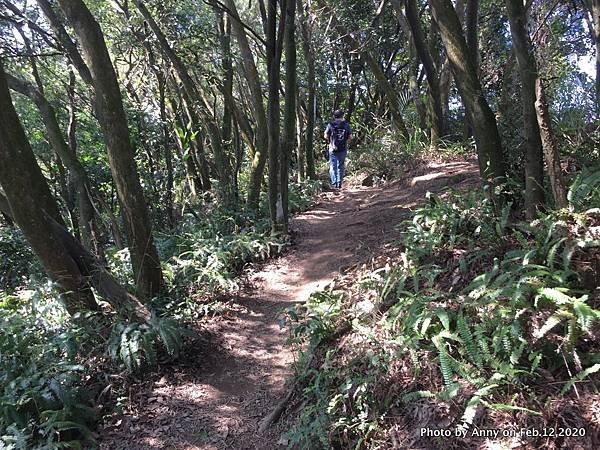 鳶山步道14.jpg