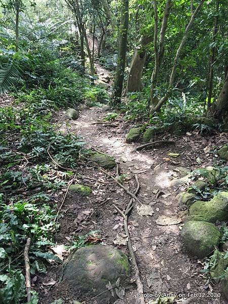 鳶山步道 福德坑山步道23