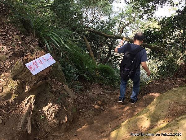 鳶山步道 福德坑山步道24