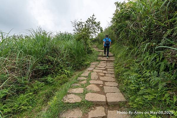 竹篙山步道7