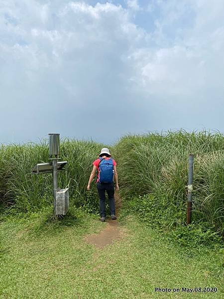 竹篙山步道4