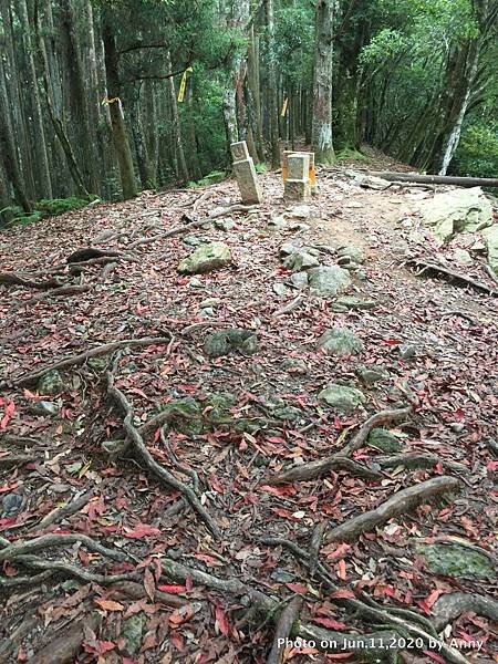 新竹油羅山步道26.JPG