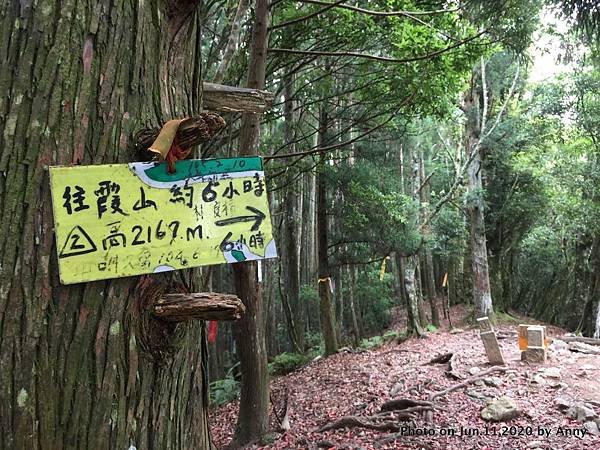 新竹油羅山步道27.JPG