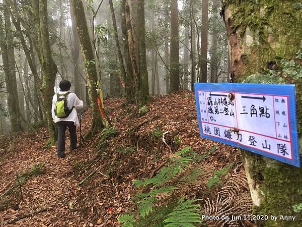 新竹油羅山步道32.JPG