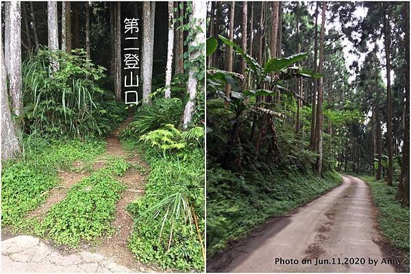 新竹油羅山步道第二登山口7