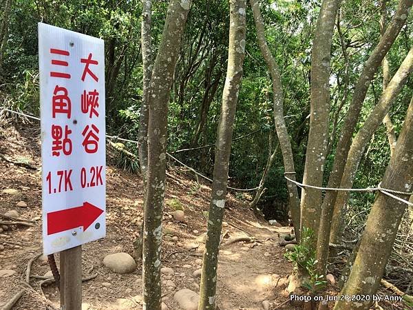 苗栗火炎山步道37