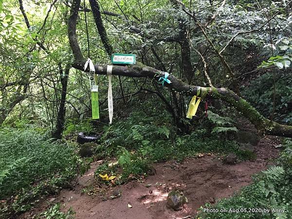 陽明山小觀音山步道9