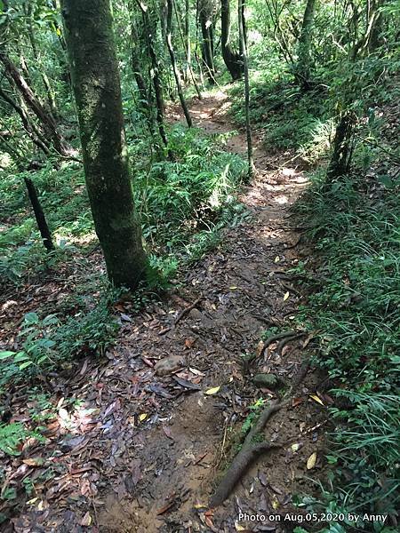 陽明山小觀音山步道10