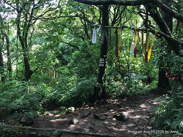 陽明山小觀音山步道11