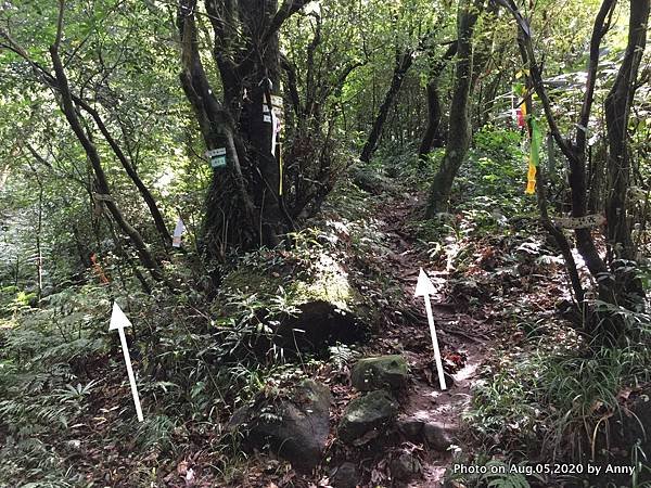 陽明山小觀音山步道12