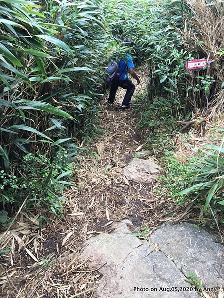 陽明山小觀音山步道36