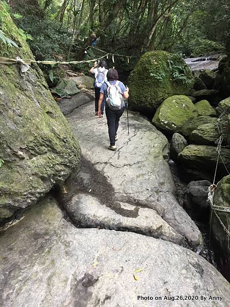 雲森瀑布步道 雲森秘境36