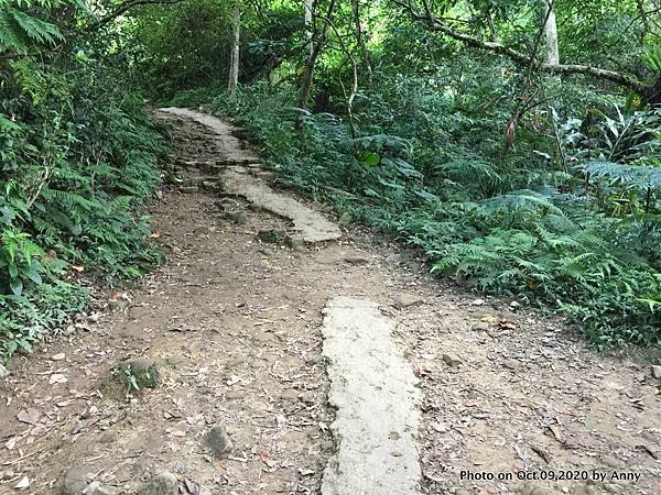 桃園石門山登山步道5.jpg