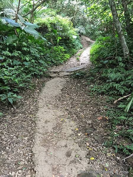 桃園石門山登山步道（景春步道）8