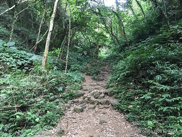 桃園石門山登山步道（景春步道）9