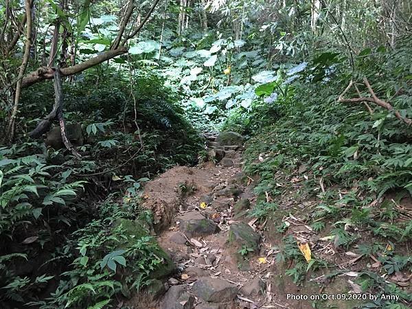 桃園石門山登山步道（景春步道）10