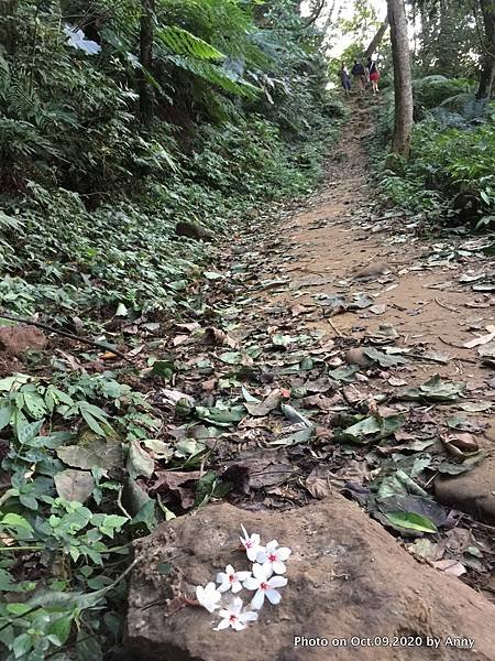 桃園石門山登山步道（景春步道）12