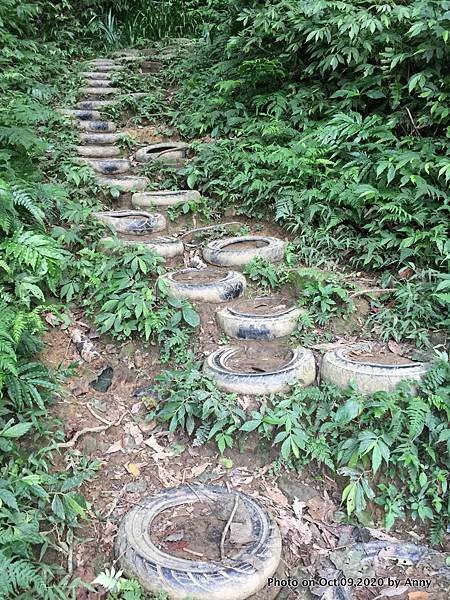 桃園石門山登山步道15.jpg