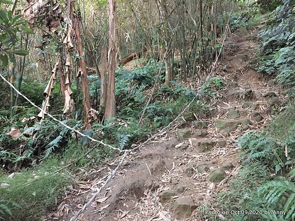 桃園石門山登山步道19.jpg