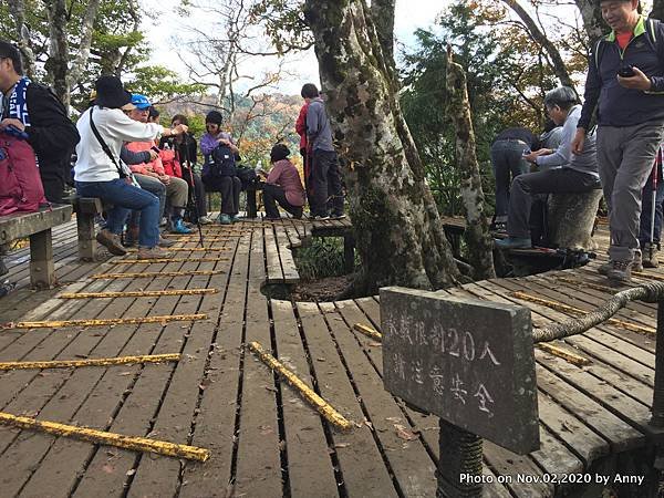 宜蘭三毛櫸步道終點60