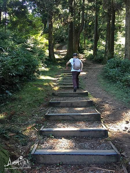 東眼山自導式步道4.JPG