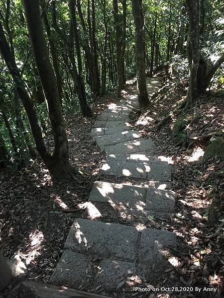 東眼山自導式步道10.JPG