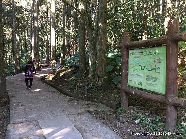 東眼山自導式步道13.JPG