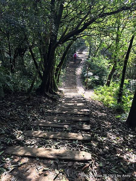 姜子寮古道 姜子寮登山步道